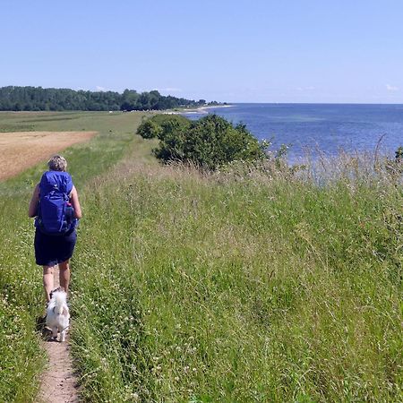 Goldsprotte Leilighet Eckernförde Eksteriør bilde